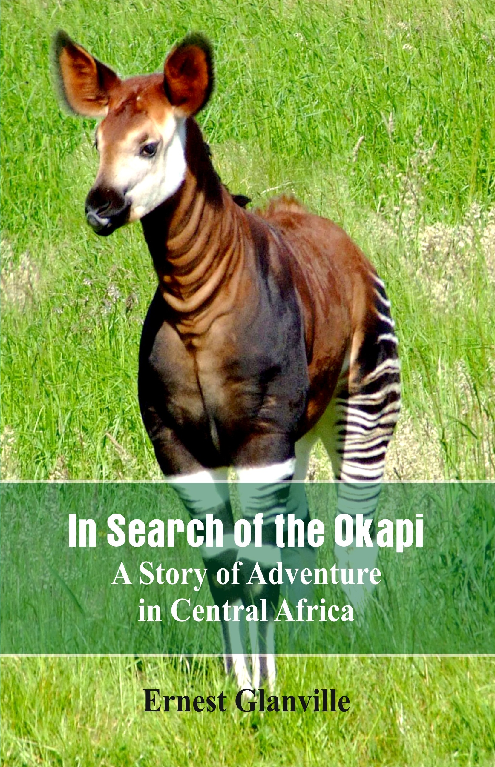 In Search of the Okapi A Story of Adventure in Central Africa