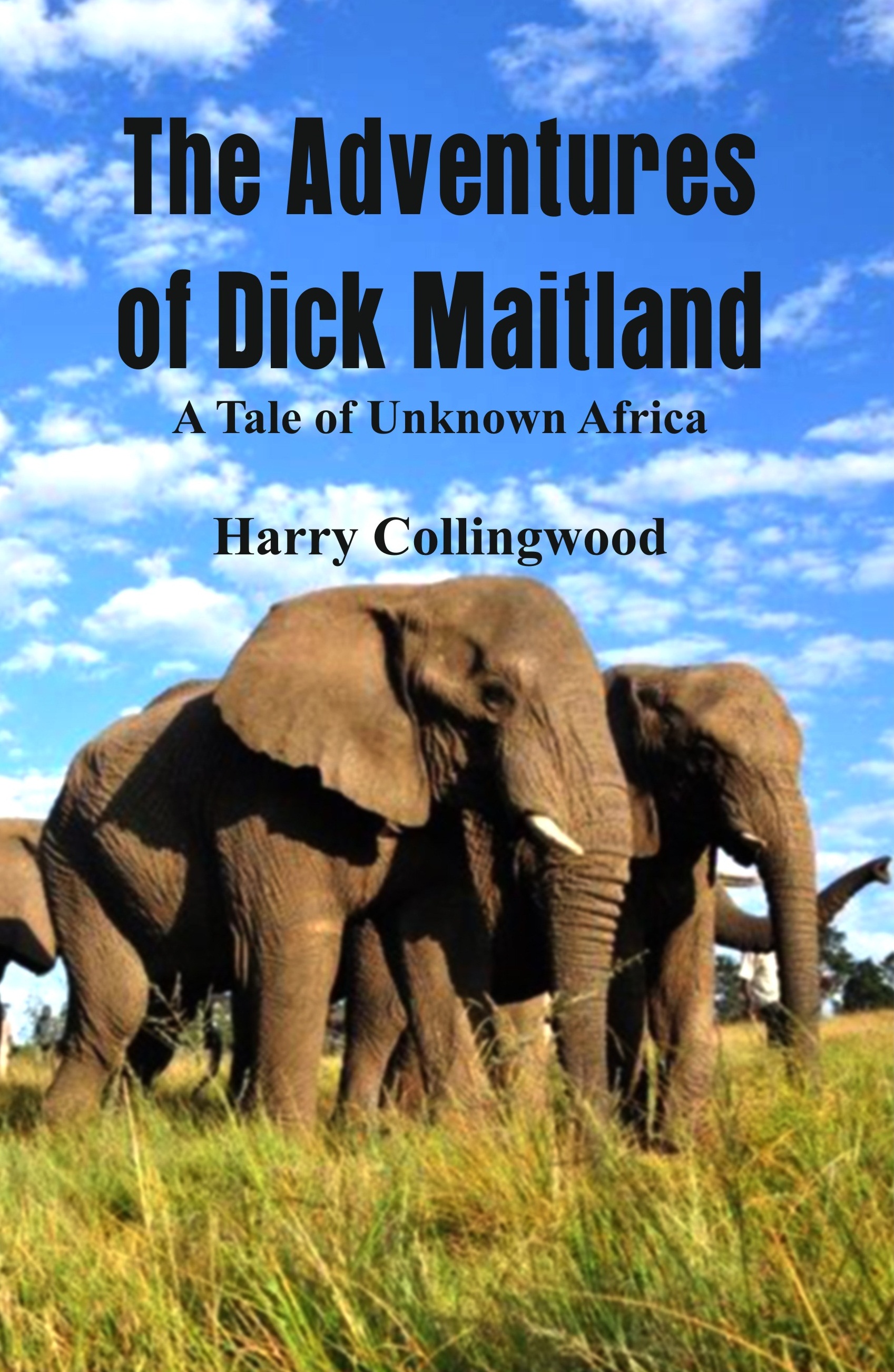 The Adventures of Dick Maitland A Tale of Unknown Africa