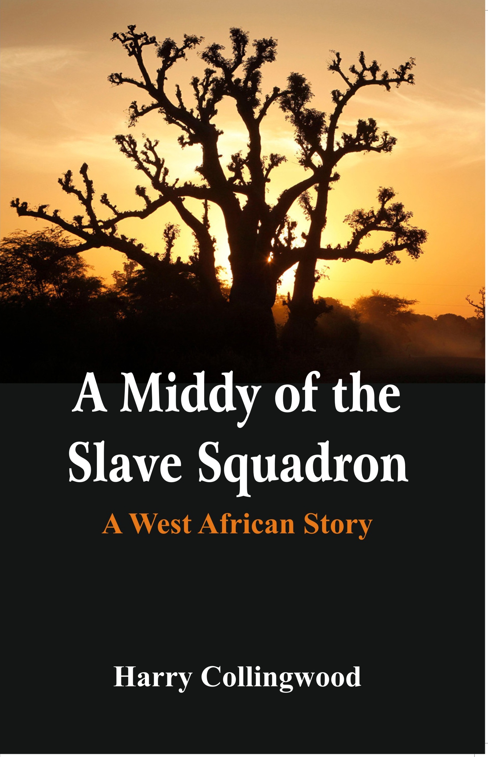 A Middy of the Slave Squadron: A West African Story